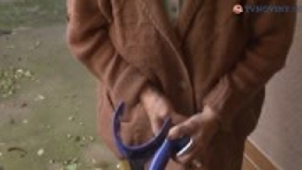 Štáb Rexa sa brodí kanálmi: Neuveríte, čo v jednom z nich našli!