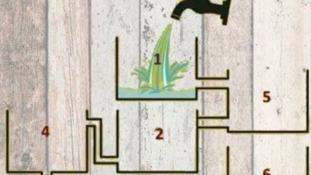 TEST vašej bystrosti: Ktorá nádoba sa naplní ako prvá?