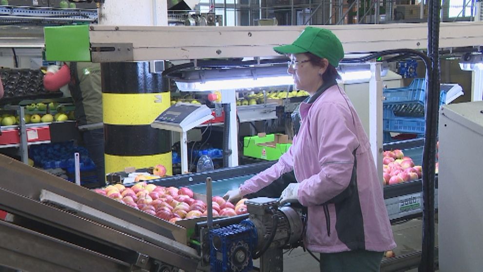 Odborári žiadajú pre Slovákov rozprávkovú minimálnu mzdu. Suma vyrazila mnohým dych