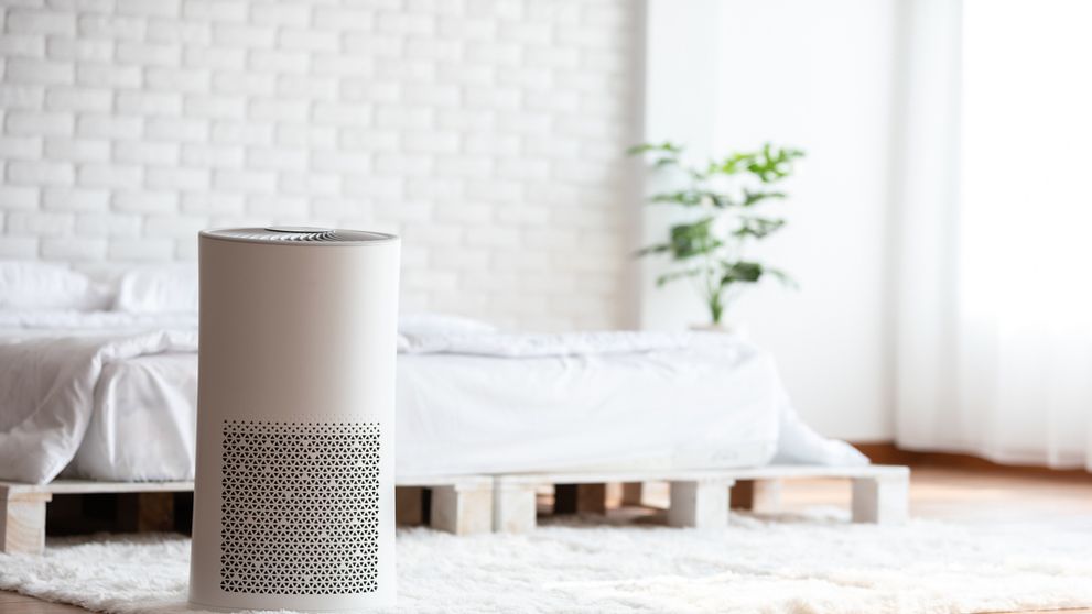 Nečakaný duel na Farme: Sára si to v aréne rozdá s Evou!