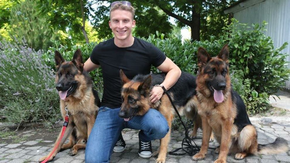 Život na úrovni! Psy z Rexa bývajú vo vlastnej vile