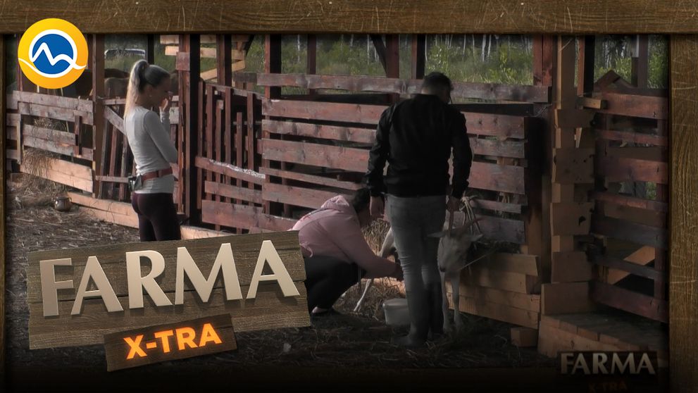 Mária s Bebou ste v takejto úlohe ešte nevideli: Čo vyskúšali prvýkrát na farme?