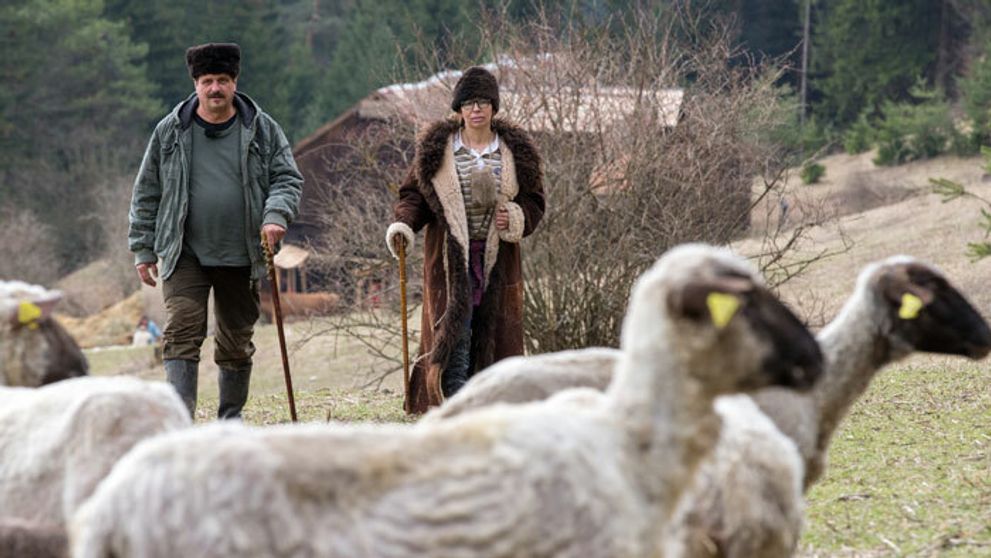 Farmárka týždňa určuje sluhov: Hlasujte koho by ste si zvolili vy!