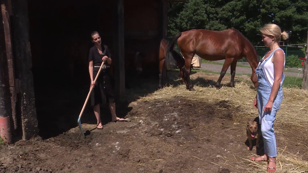 Ženy do voza aj do koča! Markizáčkam nerobí problém ani špinavá robota