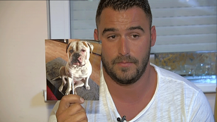 Katastrofálny prípad úmrtia psa v hoteli pre psov