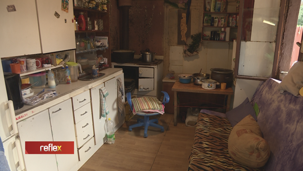 Siedmi žijú v záhradnom domčeku