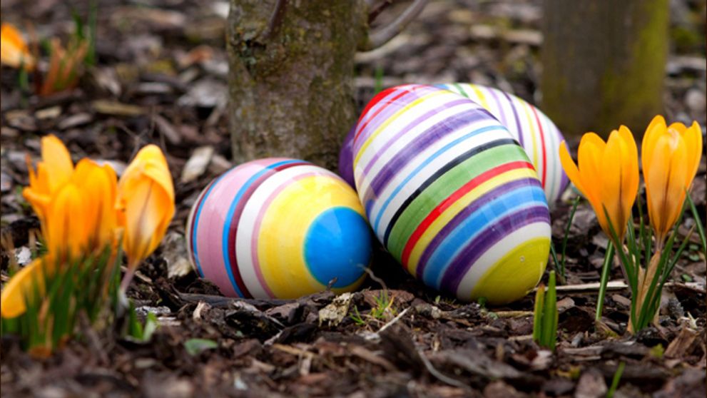 Pripravte si s nami úžasné veľkonočné vajíčka trochu inak!