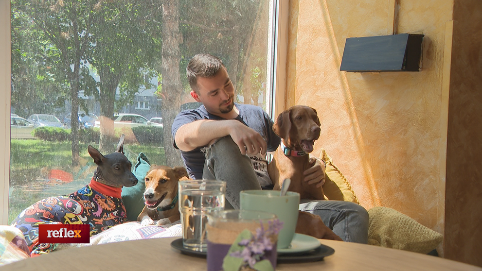 Zvieracia terapeutka