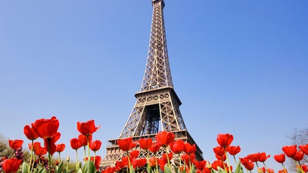 Priniesli sme Francúzsko do Telerána! Neveríte? Uvidíte! :)