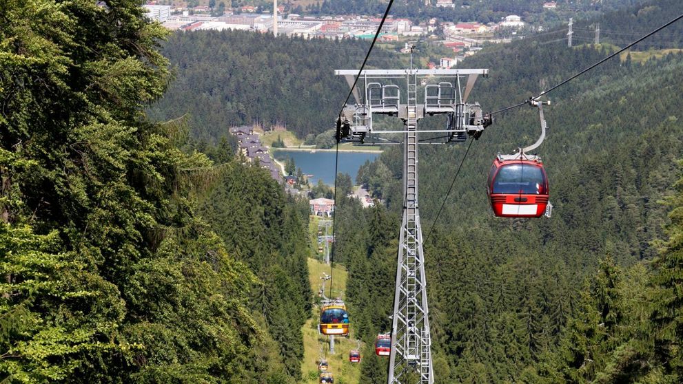 Behaj lesmi mieri do hôr!