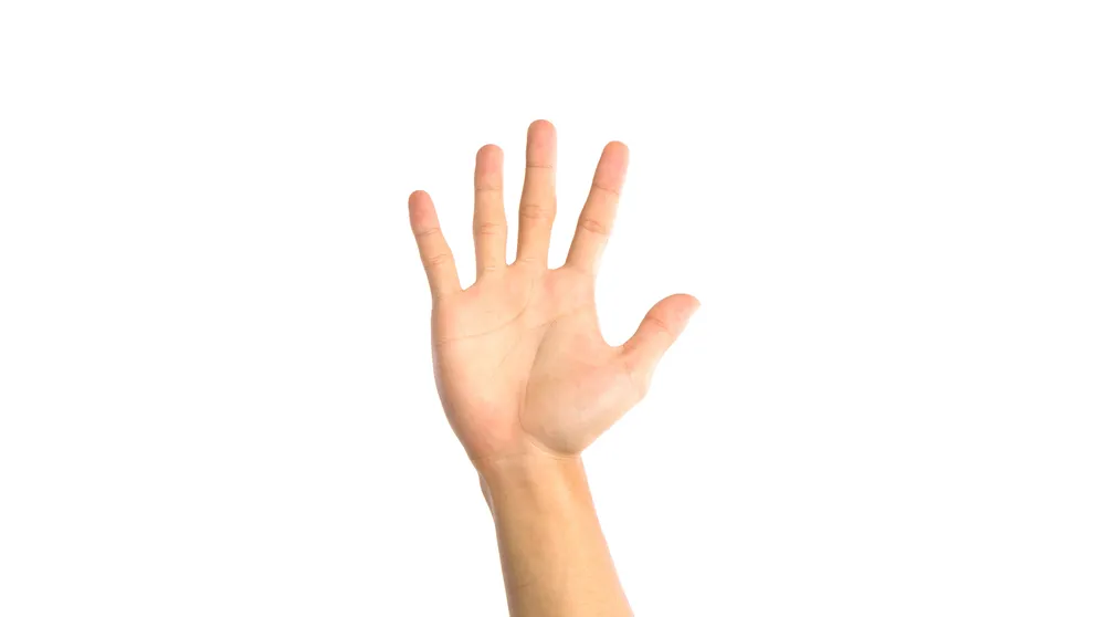 Ktorý muž je lepší milenec prezradí pohľad na jeho... Ruky!