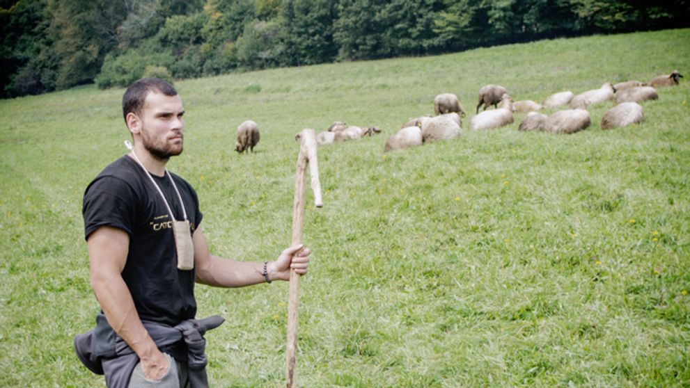 Prešľapy Patrika Mirgu! Pre toto musel odísť!