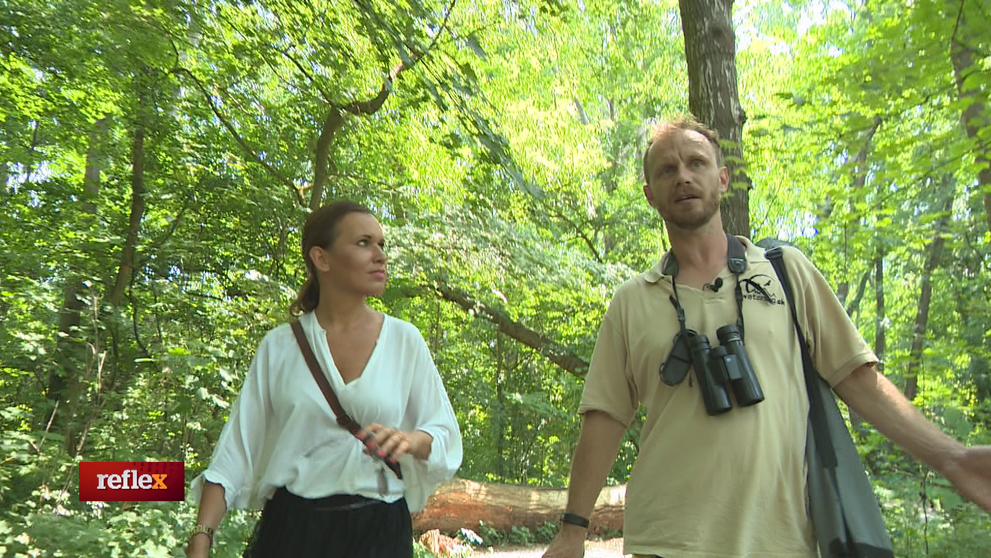 Ornitológ nás zobral na odchyt vtákov