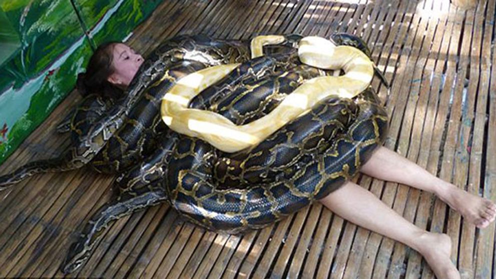 Tak tomuto sa hovorí brutálny zážitok!!!