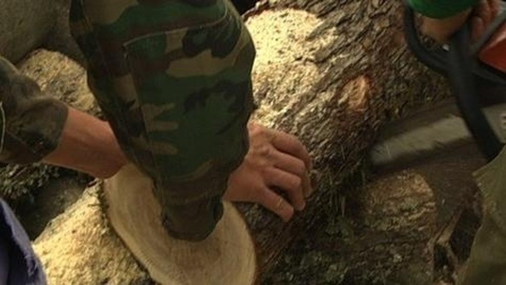 Zmrzačenie za peniaze!