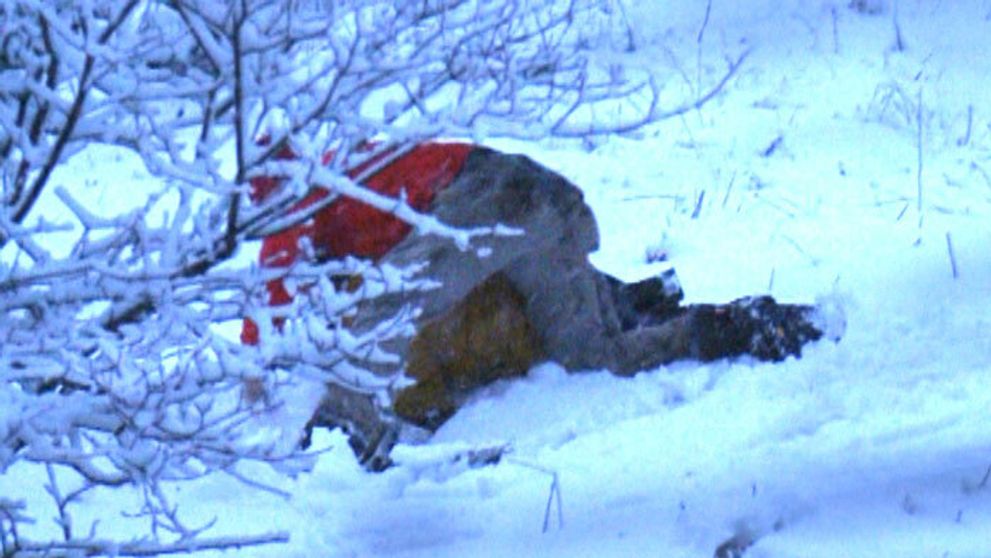 A je to tu: Už sa po sebe váľajú!