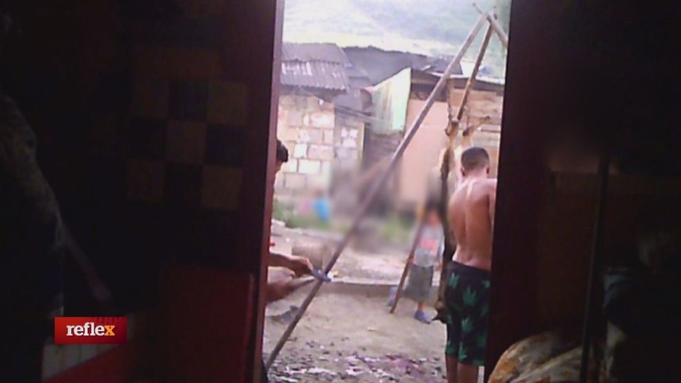 Pokračujú v psích zabíjačkách