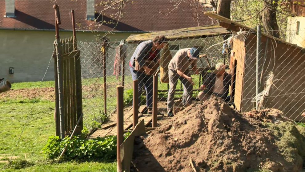 Nehanbíte sa, chlapci? Zlodeji v Hornej Dolnej!