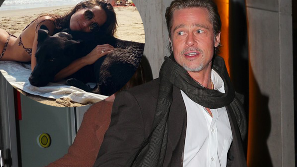 Koniec špekuláciám! Takto vyzerá nová priateľka Brada Pitta