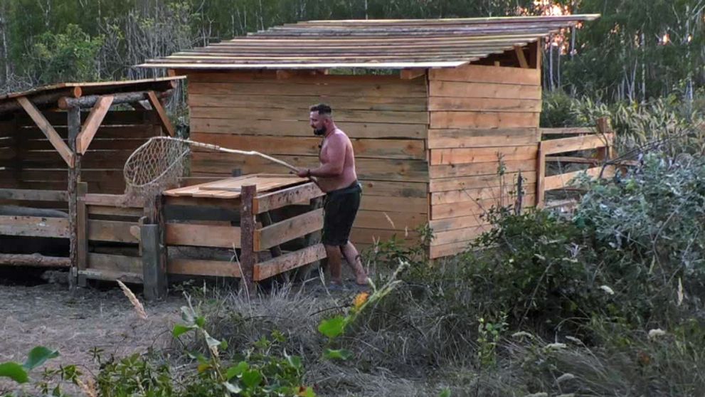 Naháňačka, akú ste ešte nezažili! Farmári sa váľali od smiechu