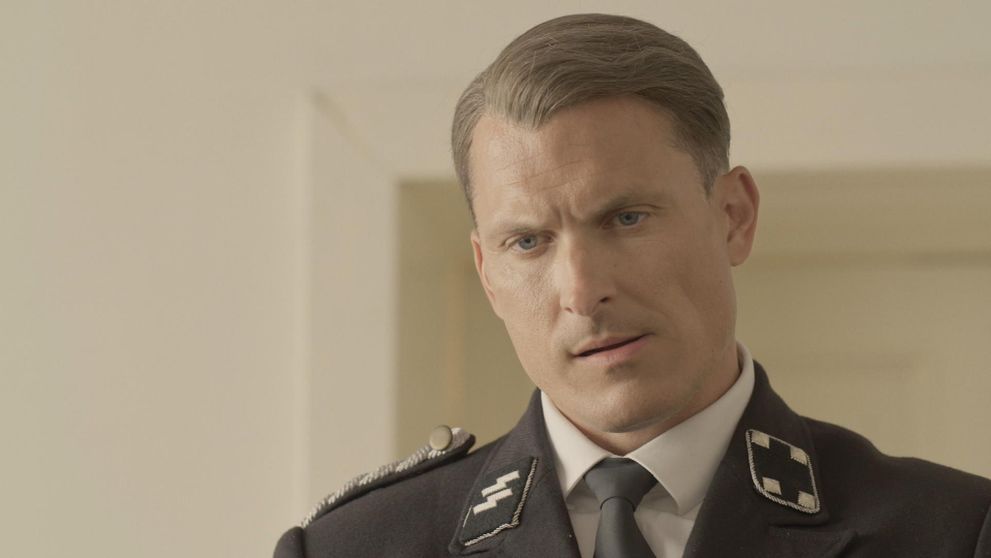 Ponuka, ktorá sa neodmieta: Walter sľúbi Holubcovi priveľa