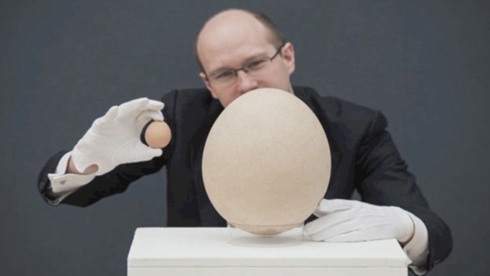 Viete si predstaviť vajce, z ktorého by sa najedla celá bytovka?