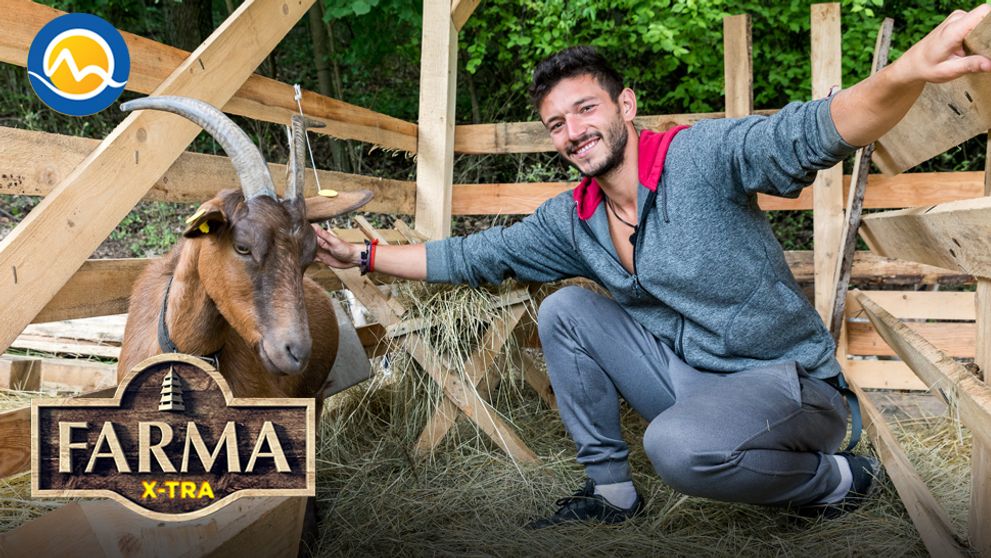 Klamal Dávid po celý čas? Vraj nie je single a doma má priateľku