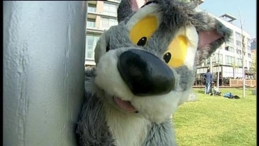 Majú Furries vlastnosti zvierat ?