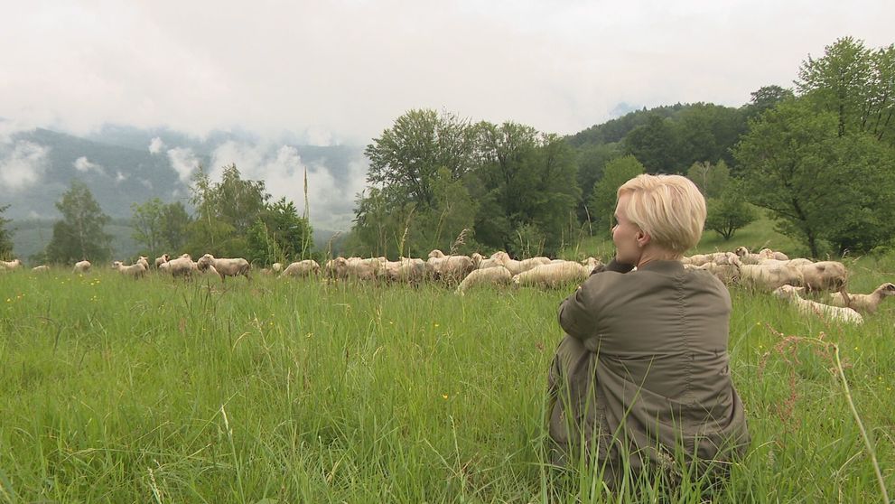 Kvetka Horváthová opäť na farme: Na nič nezabudla
