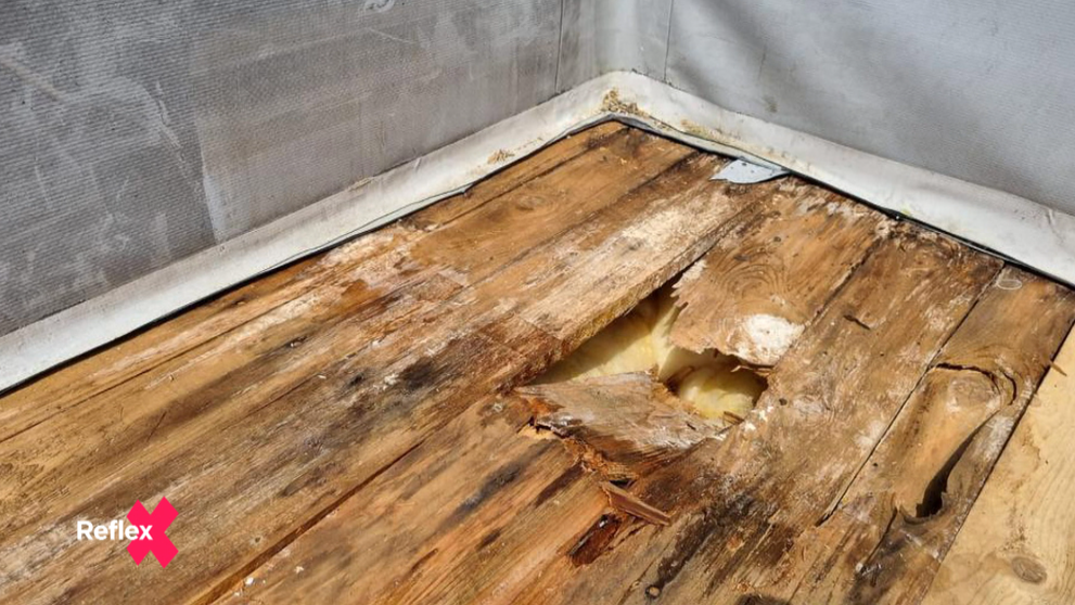 Z dreva železobetón nebude