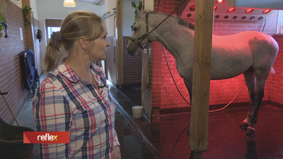 Tento wellness nie je pre ľudí...