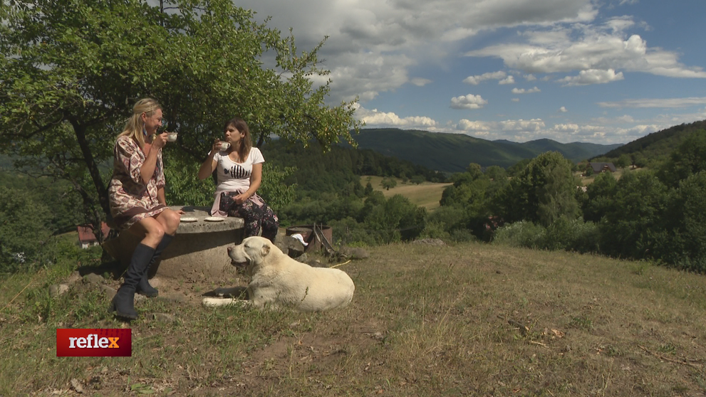 Kráľovstvo pre zvieratá