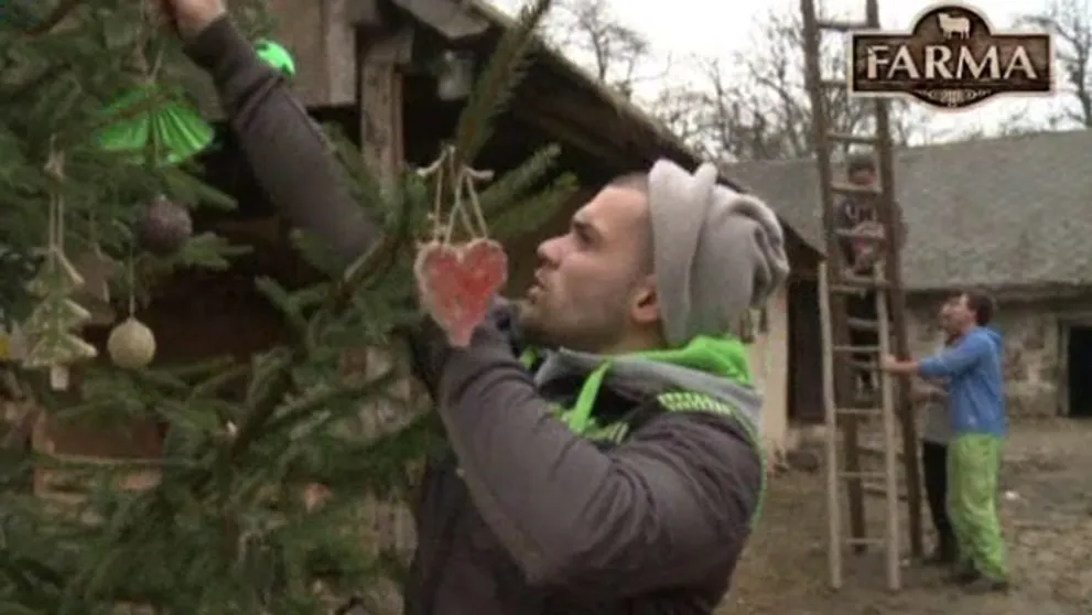Na farme sa zdobil stromček: Niektoré komentáre farmárov stoja za to...