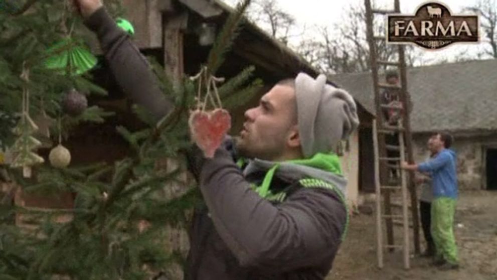 Na farme sa zdobil stromček: Niektoré komentáre farmárov stoja za to...