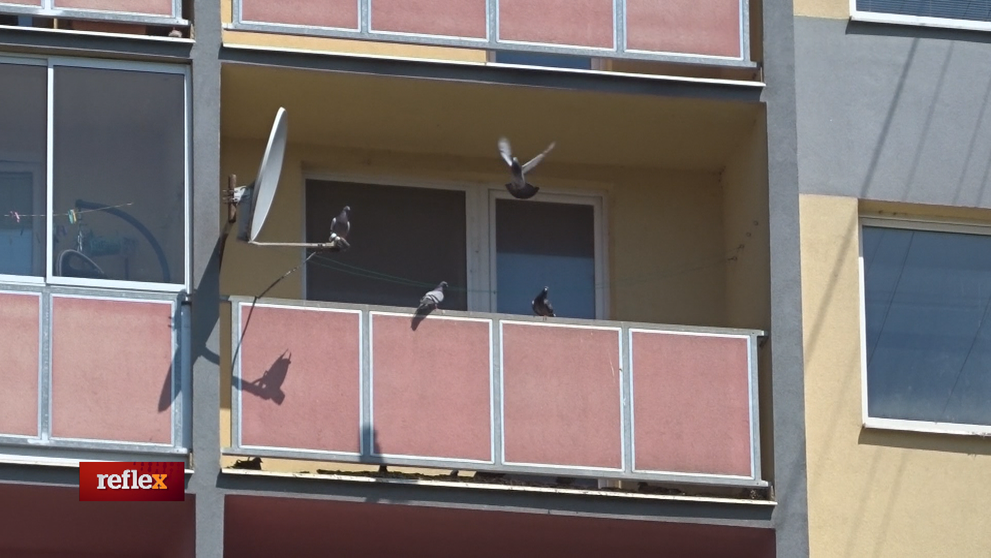 Priveľa zvierat v byte