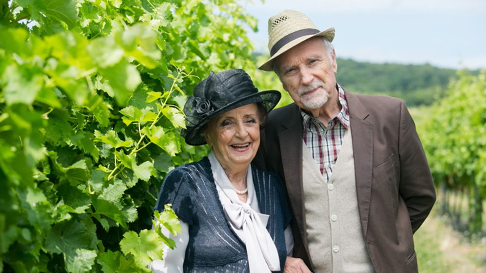 Posledná klapka seriálu Búrlivé víno