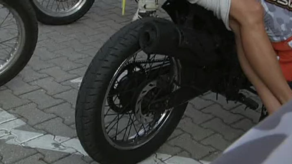 Hendikepované psy zachránila pred istou smrťou