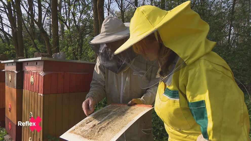 Ich med má vo svete meno