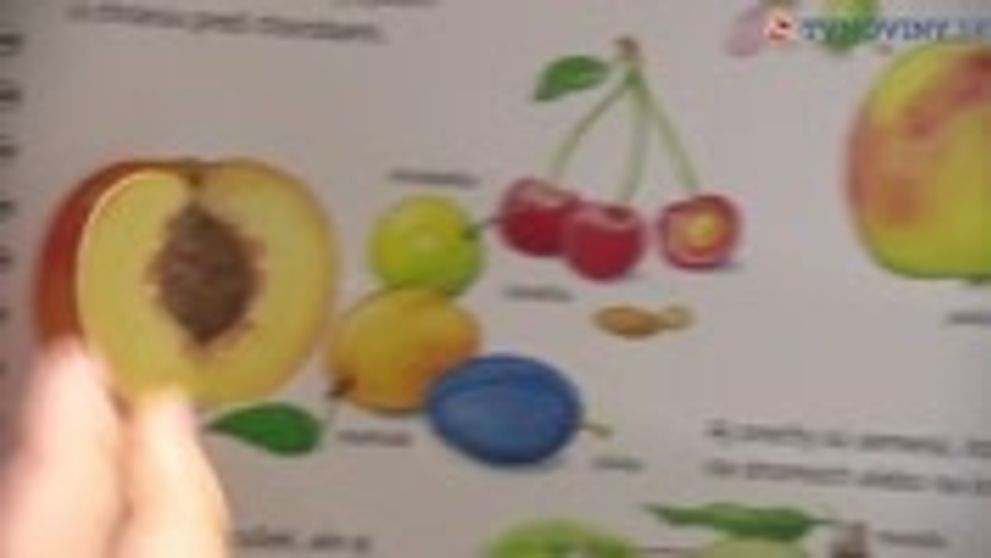 VIDEO: Darček od policajtov Taliana nerozhodil. S papučou si poradil po svojom