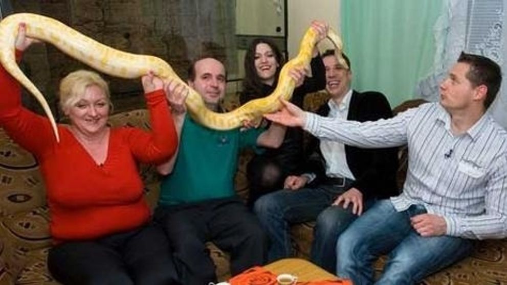 Bez servítky: Budú musieť zjesť hada?