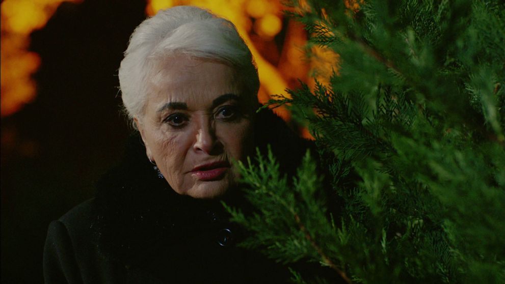 Šťastie mojich detí: 30. a 31. epizóda