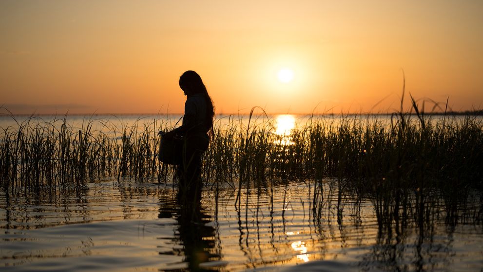 Reese Witherspoon opäť ako producentka: Do kín príde dráma Kde raky spievajú