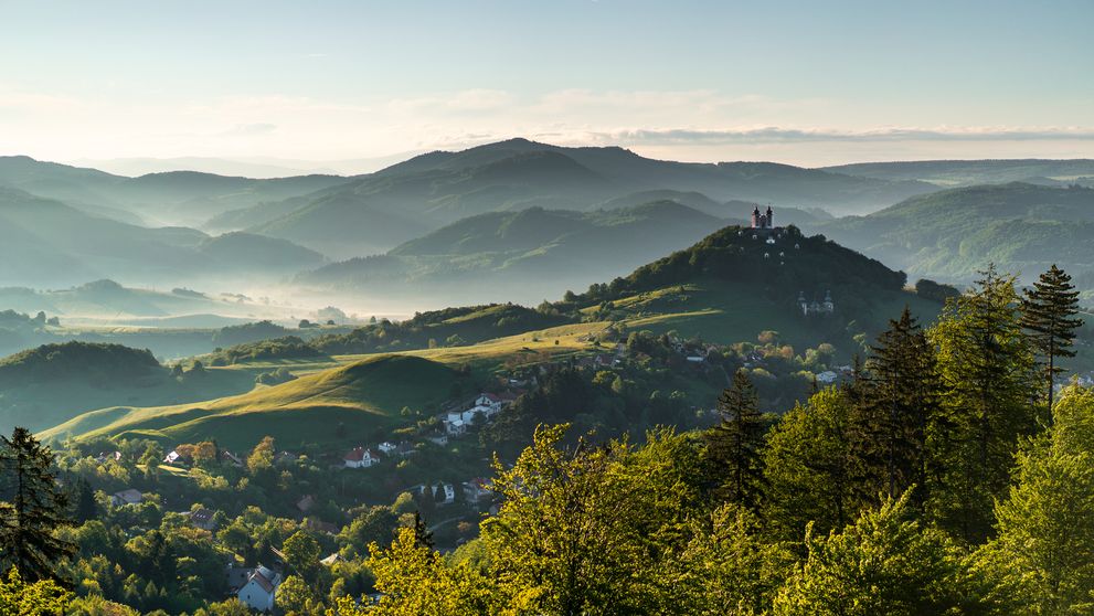 Z mesta do lesa: Unikátny projekt prichádza na Slovensko