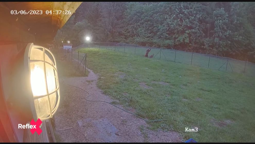 Po stopách medveďov (pokračovanie)