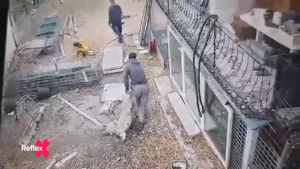 Za dobitie psa pred súdom