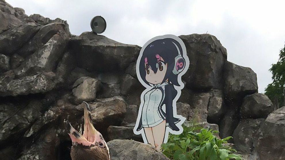 Láska na druhý pokus 2: 83. a 84. epizóda