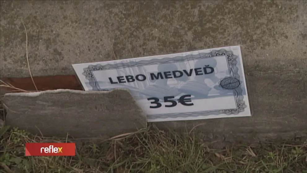 Lampáreň štartovala pred osemnástimi rokmi