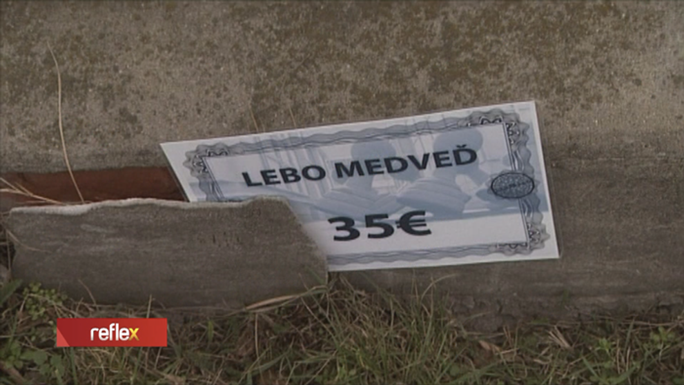 Lampáreň štartovala pred osemnástimi rokmi