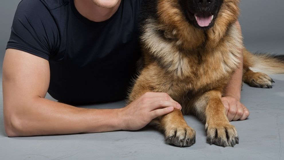 Exkluzívne: Pozrite si prvé fotky slovenského Rexa!