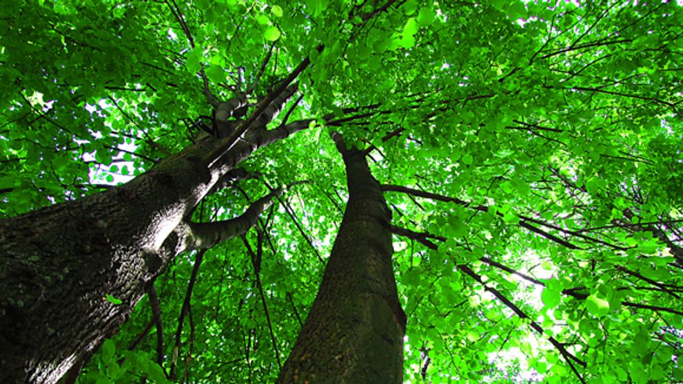 Karavanom okolo Slovenska